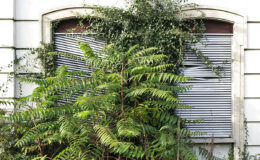 020 - zeit ist vergangen